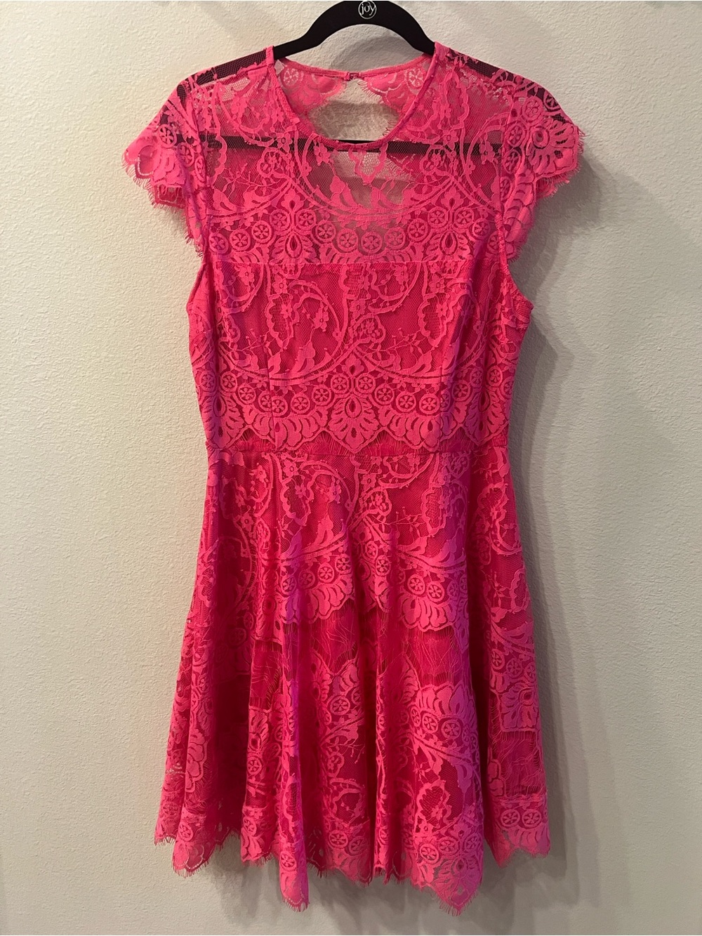 BB Dakota Hot Pink Lace Dress with Sheer Accents